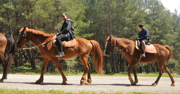 Fethiye At Safari - Görsel 5